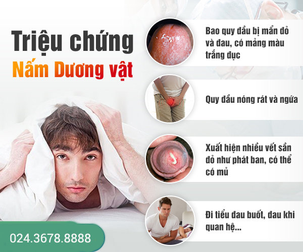 viêm dương vật